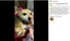 New Anti Bark Dog Collar on Afterpay Carousel 9