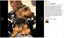 New Anti Bark Dog Collar on Afterpay Carousel 4