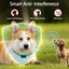New Anti Bark Dog Collar on Afterpay Carousel 5