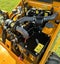 Thwaites 1 Tonne High Tip Dumper *NEW* Carousel 10