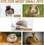 Small Pet Cage Hammock Carousel 5