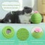 Cactus Cat Scratcher Balls Interactive Tilting Toys for Cats and Kittens Carousel 5