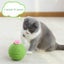 Cactus Cat Scratcher Balls Interactive Tilting Toys for Cats and Kittens Carousel 6