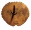Loading Image 2 of 2