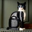 LEGO Ideas: Tuxedo Cat - (21349) Carousel 4