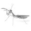 Metal Earth - 3d Metal Model Kit - Praying Mantis Carousel 1