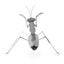 Metal Earth - 3d Metal Model Kit - Praying Mantis Carousel 2