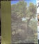 Nicolas Poussin 1594-1665 by Richard Verdi Carousel 6