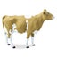 Loading Image 1 of 4