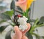 (Authentic Burmese Jadeite) Jade Pendant Natural Grade A NGS5SH-63 Carousel 2