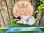 Guinea Pigs for sale Carousel 13