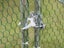 Large Metal Chicken Coop -6m x 3m Carousel 4