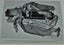 The BOOK of the HUIA by W.J. Phillipps FIRST EDITION Finest HUIA Reference EVER Carousel 6