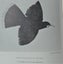 The BOOK of the HUIA by W.J. Phillipps FIRST EDITION Finest HUIA Reference EVER Carousel 8