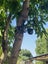 WIFI Human Detection Solar Security Camera CCTV Outdoor Panel Carousel 5