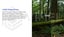 Solar Powered Trail Camera 24MP Hunting Gaming Security Wildlife Carousel 4