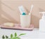 Wall mounted Adhesive Soap Dish 2 Pack Shower Soap Dish With Detachable Drain Carousel 2