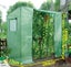 Walk-in tomato greenhouse Carousel 3