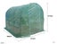 365cm*213cm*213cm Tunnel GREENHOUSE Carousel 2