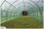 1000cm*300cm*200cm Tunnel GREENHOUSE Carousel 2