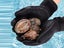 Diving Gloves XL Carousel 8