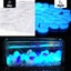 Luminous Stones Decorative Pebbles That Glow In The Dark Suitable For Walkways Carousel 3