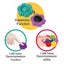 8pcs Variety Building Blocks Fingertip Gyro Infinite Splicing Building Blocks B Carousel 3