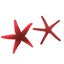 Loading Image 1 of 20