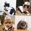 Dog Cat Hat Sailor Suit - Navy Suit Nautical Cape Costume Carousel 5