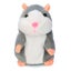 Cute Talking Hamster Toy Children's Best Friend Carousel 4