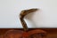 Vintage brass copper grey hunt dog head walking stick handle ornament Carousel 3