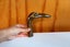 Vintage brass copper grey hunt dog head walking stick handle ornament Carousel 8