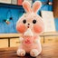 50cm Cute Bunny Plush Toy Dolls No Fading And Good Elasticity Suitable For Home Carousel 3
