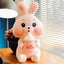 50cm Cute Bunny Plush Toy Dolls No Fading And Good Elasticity Suitable For Home Carousel 4