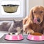 Dog Bowl Non-slip Anti-overturning Stainless Steel Dog Food Bowl Dog Food Bowl Carousel 4