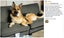 New Anti Bark Dog Trainer on Afterpay Carousel 6