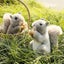 Squirrel Doll Lifelike Grey Squirrel Plush Toy: A Perfect Holiday Gift For Kids Carousel 3