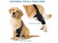 Adjustable Dog Knee Brace for ACL NZ Clearance Carousel 5