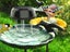 Solar Water Agitator Bird Bath Solar Water Wiggler Water Mixer Solar Powered Carousel 3