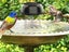 Solar Water Agitator Bird Bath Solar Water Wiggler Water Mixer Solar Powered Carousel 4