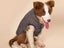 Dog Warm Coat Thickened Padded Windbreaker Vest Jacket Winter Coffee M Carousel 5