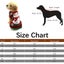 Festive Pet Attire Striped Snowman New Year Dog Sweater For Fall And Winter Carousel 4