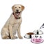 Pet Food Utensils Stainless Steel Dog Bowl Non-slip Pet Bowl Cartoon Pattern 26 Carousel 3