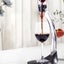 Deluxe Wine Aerator Aerating Pourer Spout And Decanter With 6 Speeds Of Aeratio Carousel 4