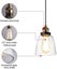 Vintage Glass Pendant Light Retro Rotary Switch Pendant Lamp Lighting Chandelie Carousel 2