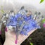Electric Spider Robot Early Education Diy Children's Electric Robot Toy Carousel 3