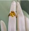 9ct gold citrine ring 3.7 grams . Carousel 5