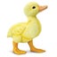 Loading Image 1 of 7