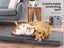 Pawz Pet Bed Foldable Dog Puppy Beds Cushion Pad Pads Soft Plush Cat Pillow M Carousel 3