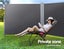 Retractable Side Awning Privacy Screen Shade 2MX6M- Dark Grey Carousel 4